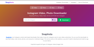 Kenapa SnapInsta Jadi Pilihan Utama Pengguna IG?